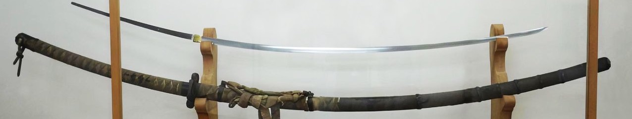 What Is the Longest and Largest Sword in the World? - KATANZO